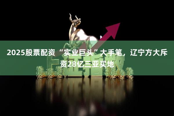 2025股票配资 “实业巨头”大手笔，辽宁方大斥资28亿三亚买地